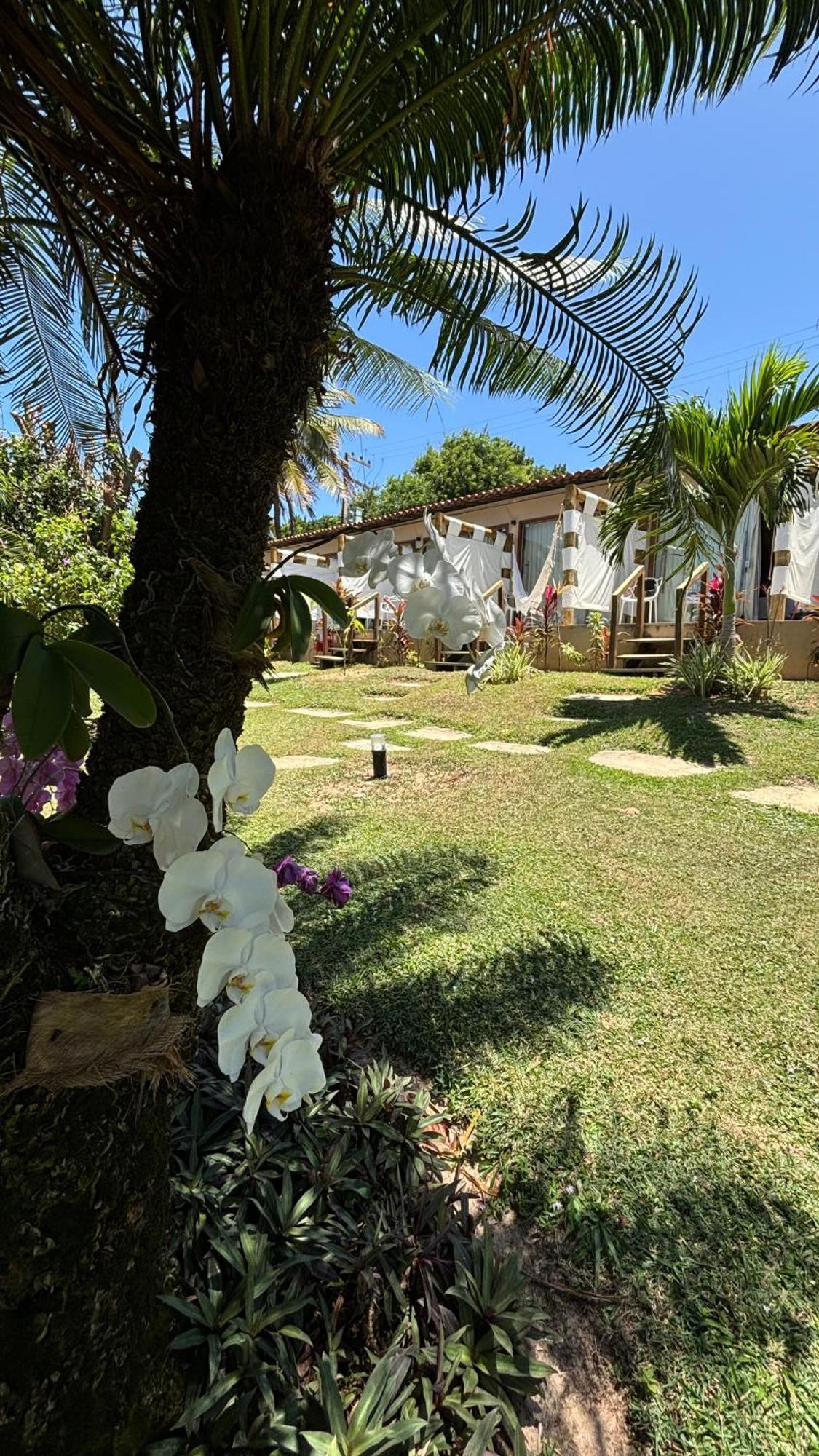 Hotel Da Pipa Praia de Pipa Екстериор снимка