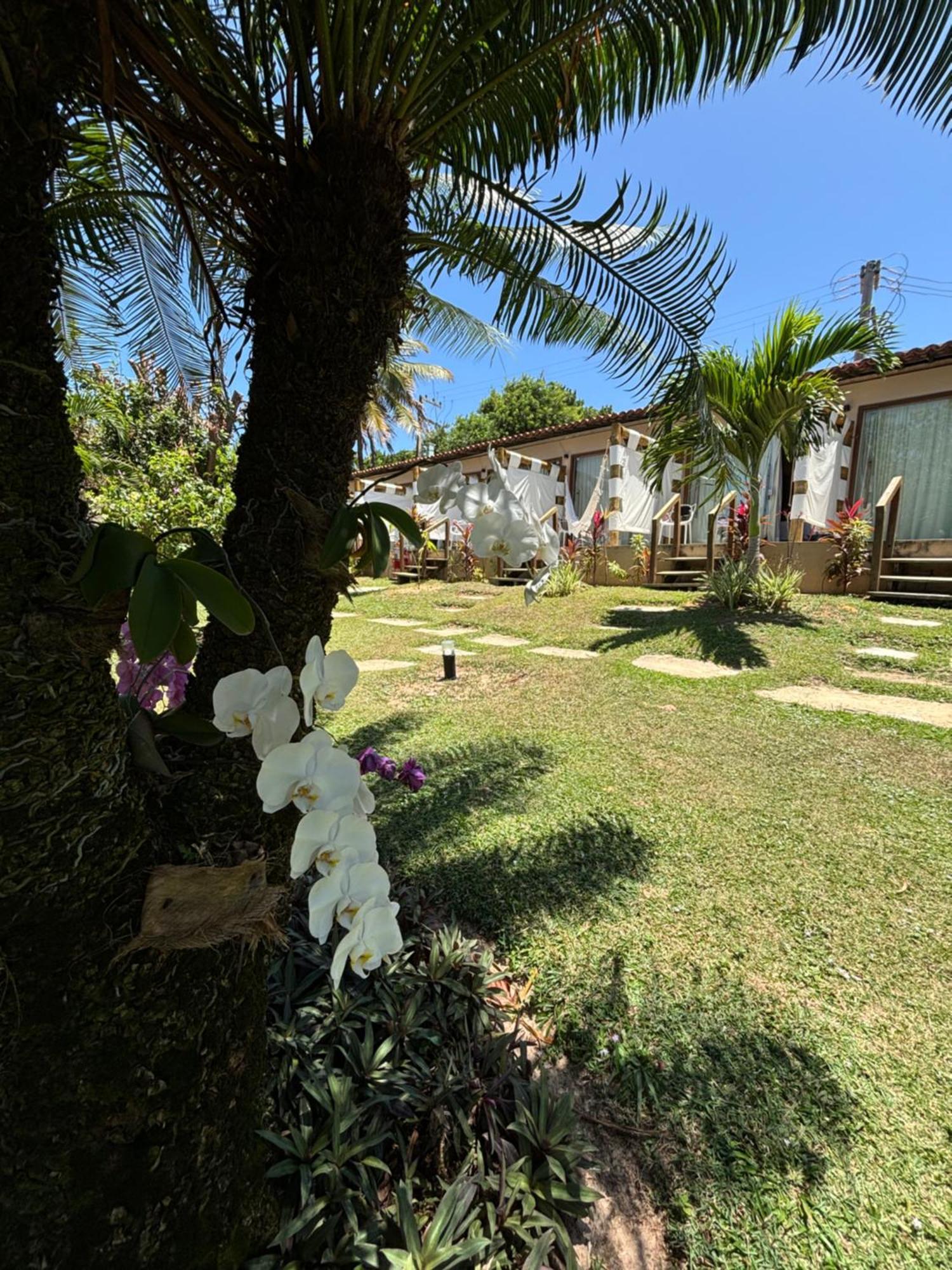 Hotel Da Pipa Praia de Pipa Екстериор снимка