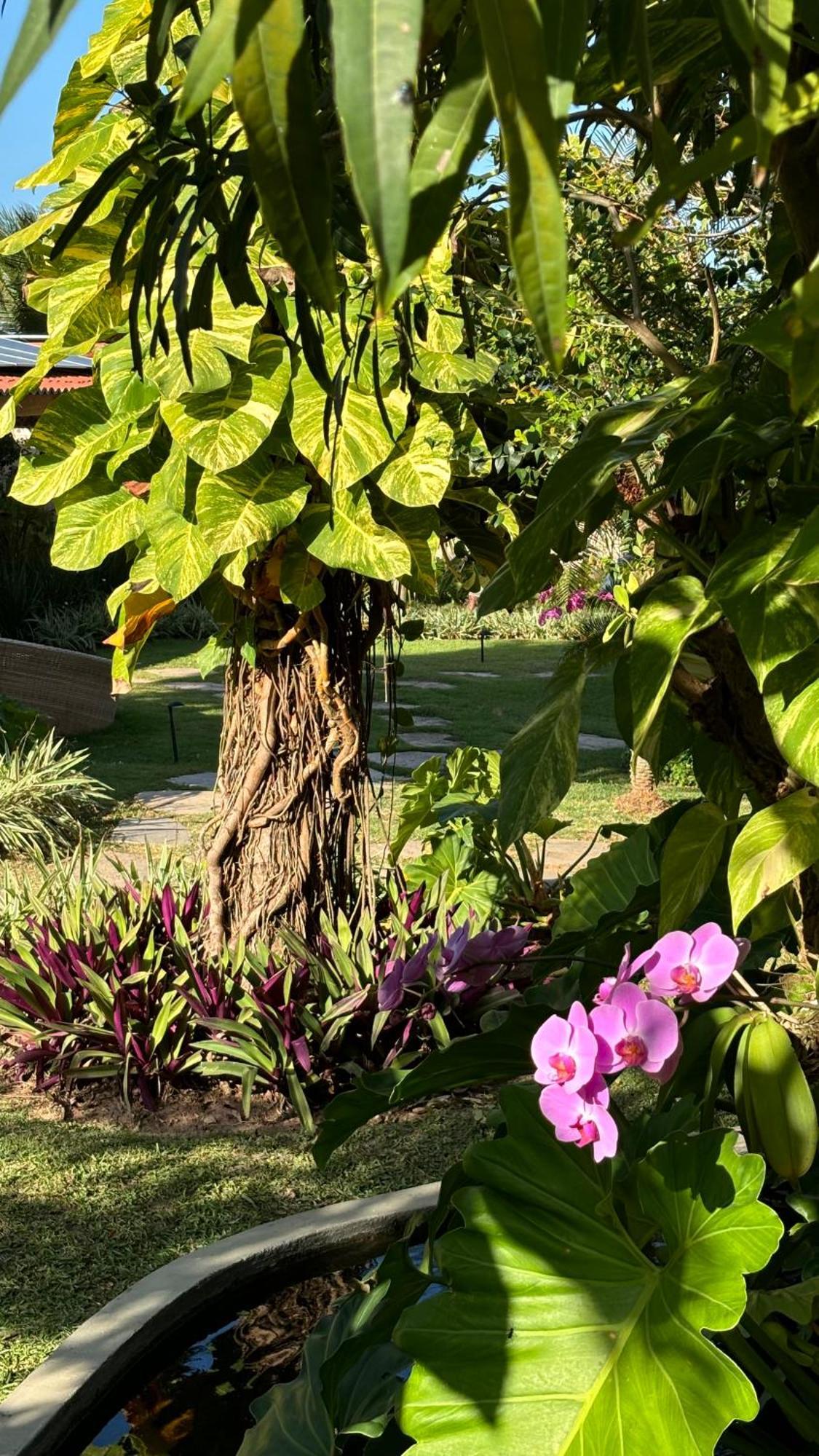 Hotel Da Pipa Praia de Pipa Екстериор снимка