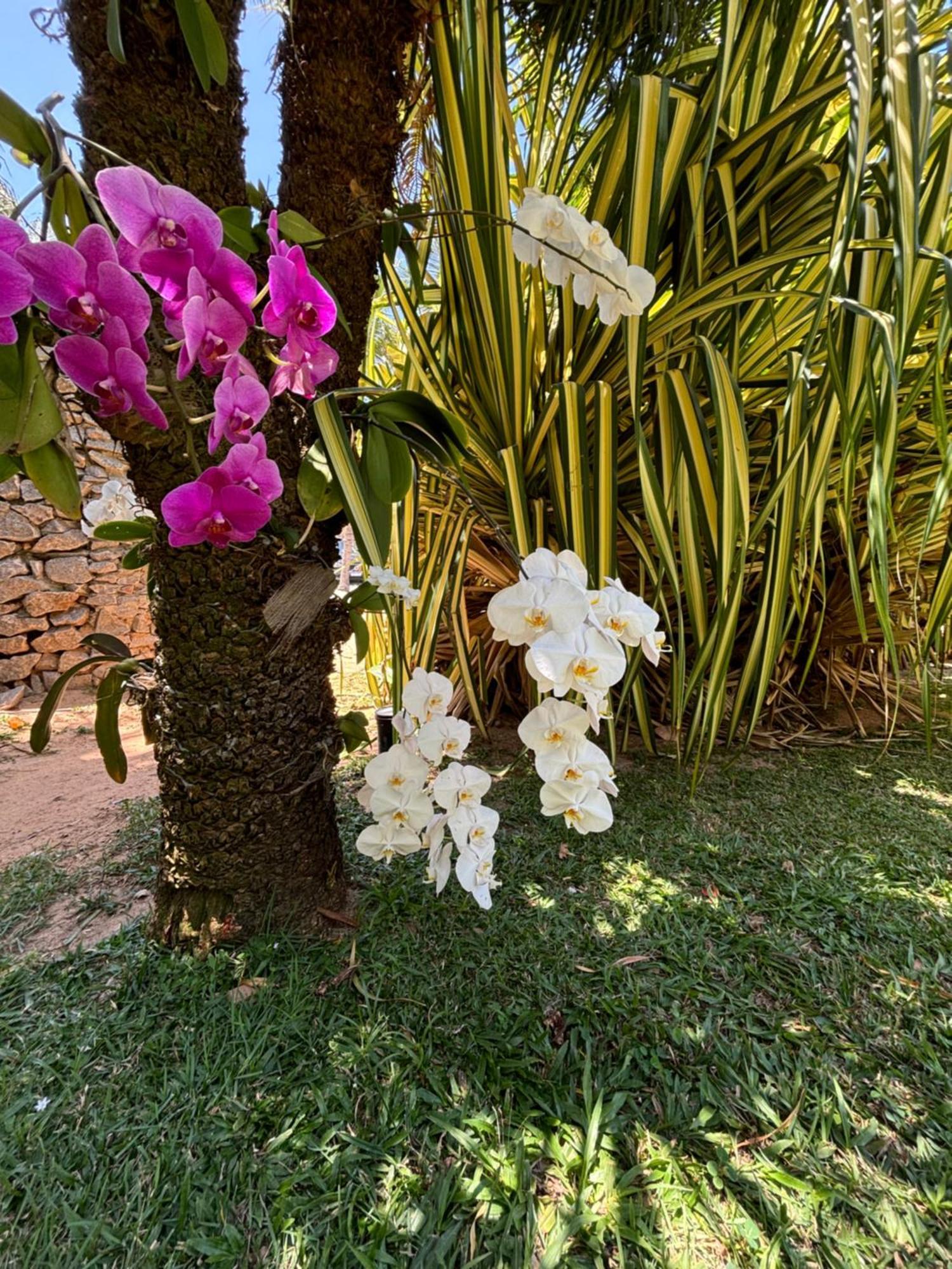 Hotel Da Pipa Praia de Pipa Екстериор снимка