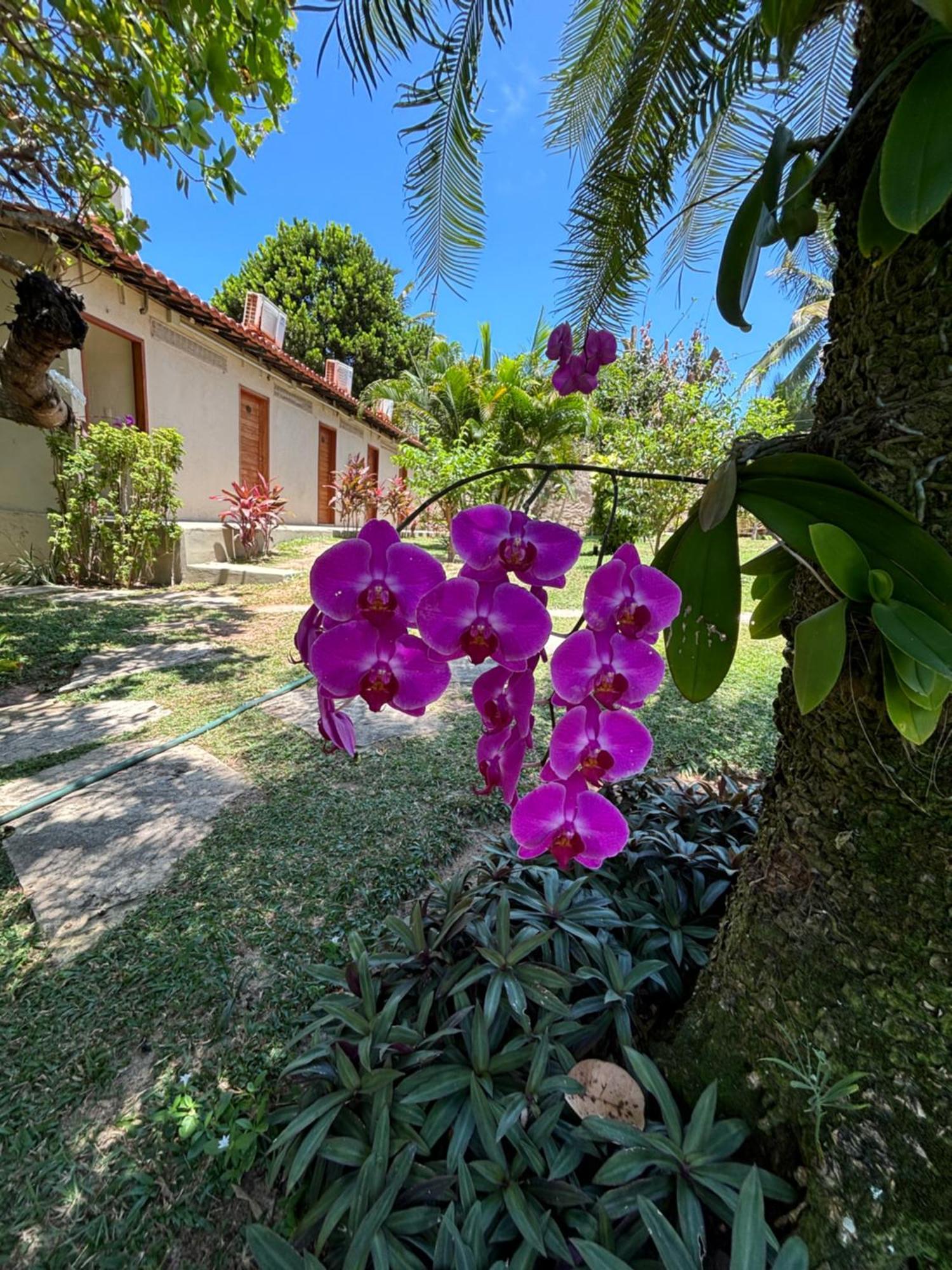 Hotel Da Pipa Praia de Pipa Екстериор снимка